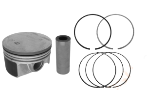 Duster 2-II Piston + Segman Std (Adet) 1.0 Sce B4D 120A10494R-120A12678R -Renault Mais