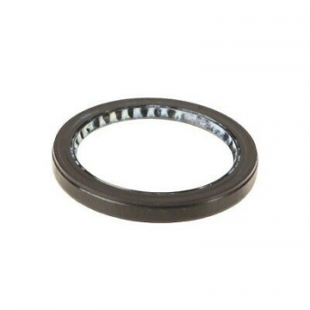 Duster 1-I Difransiyel Sol Arka Aks Keçesi 4x4 8200983398 -İthal