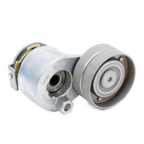 Megane 2-II Alternatör Gergi Rulmanı Komple 1.9 Dci F9Q (2003-2010) 8200905328 -Renault Mais