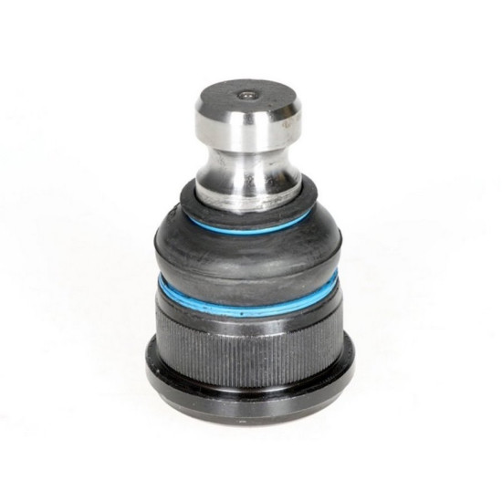 Master 2-II Rotil Alt 24mm (2007-2010) 7701070154 -Teknorot